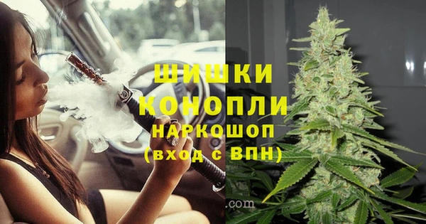 мет Ладушкин