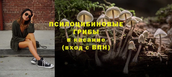 mdpv Лагань