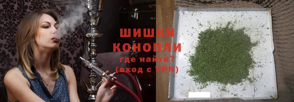 мет Ладушкин