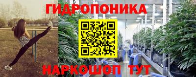 мдпв Кингисепп