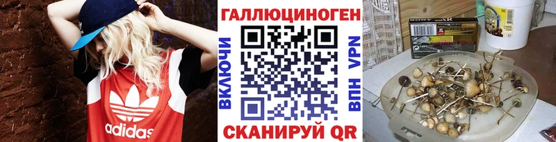 Псилоцибиновые грибы ЛСД  KRAKEN зеркало  Сызрань 