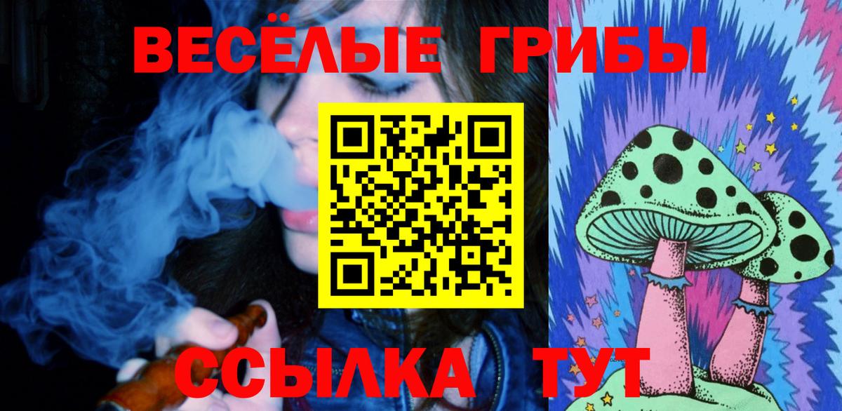 Сызрань  Псилоцибиновые грибы мицелий  наркошоп  Вход с VPN 